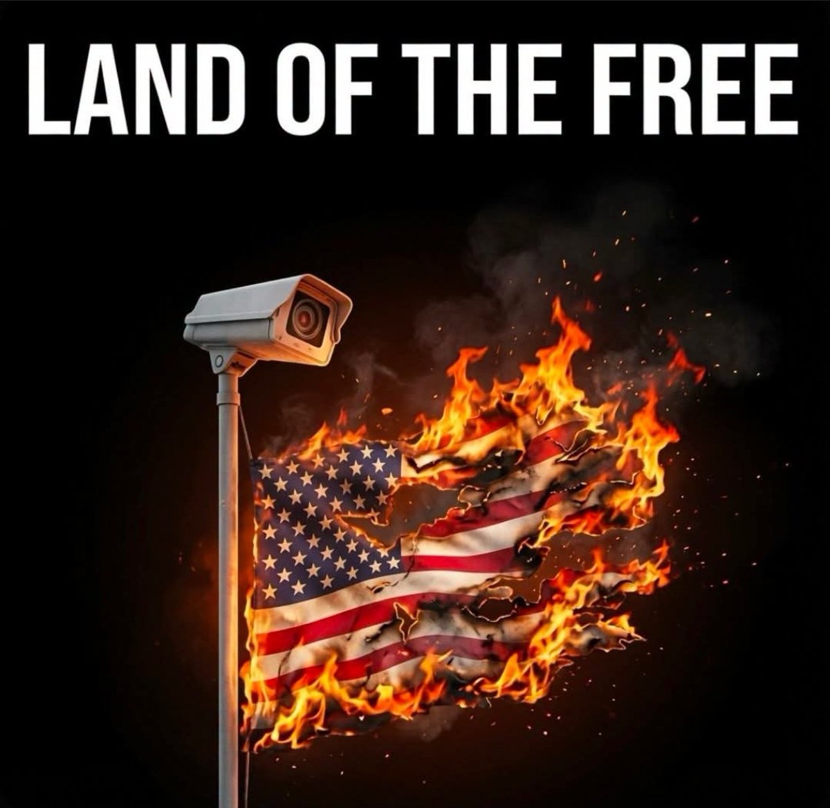 triciabase's tweet photo. @BadgedPatriot Yeah, NO! You have that all fucked-up. https://t.co/6G47JPmqmt