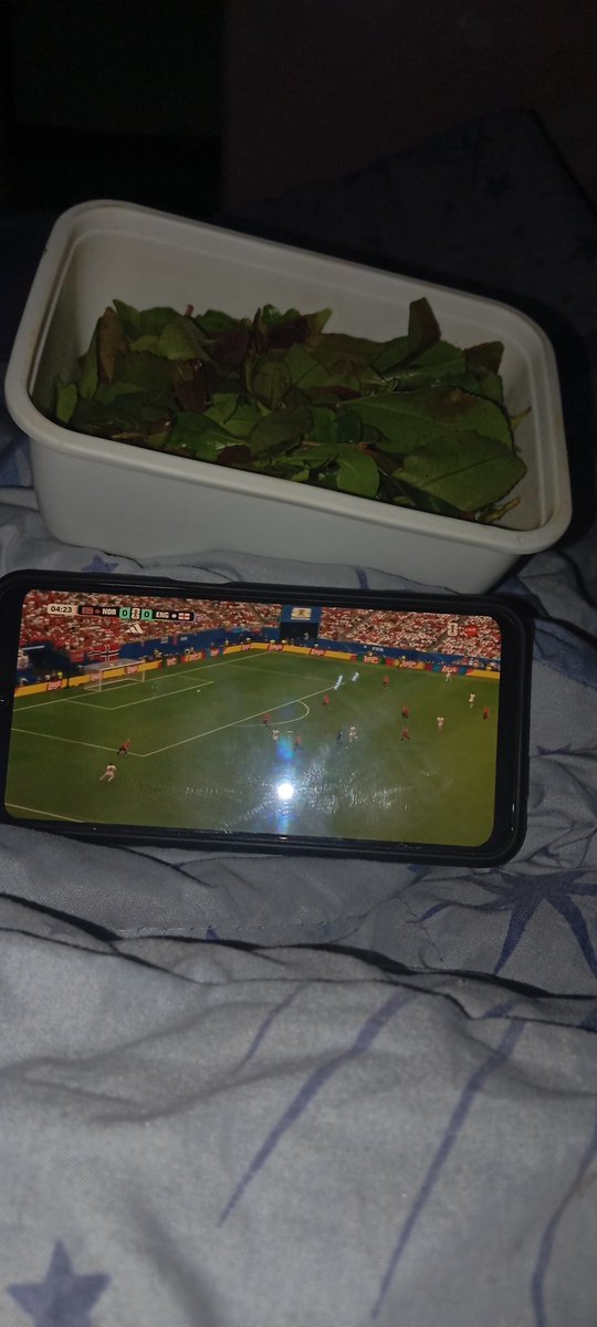 _orbynoor_'s tweet photo. IT'S WORLD CUP TIME
NO FUCKING SLEEP‼️ https://t.co/5beiaj5EuF