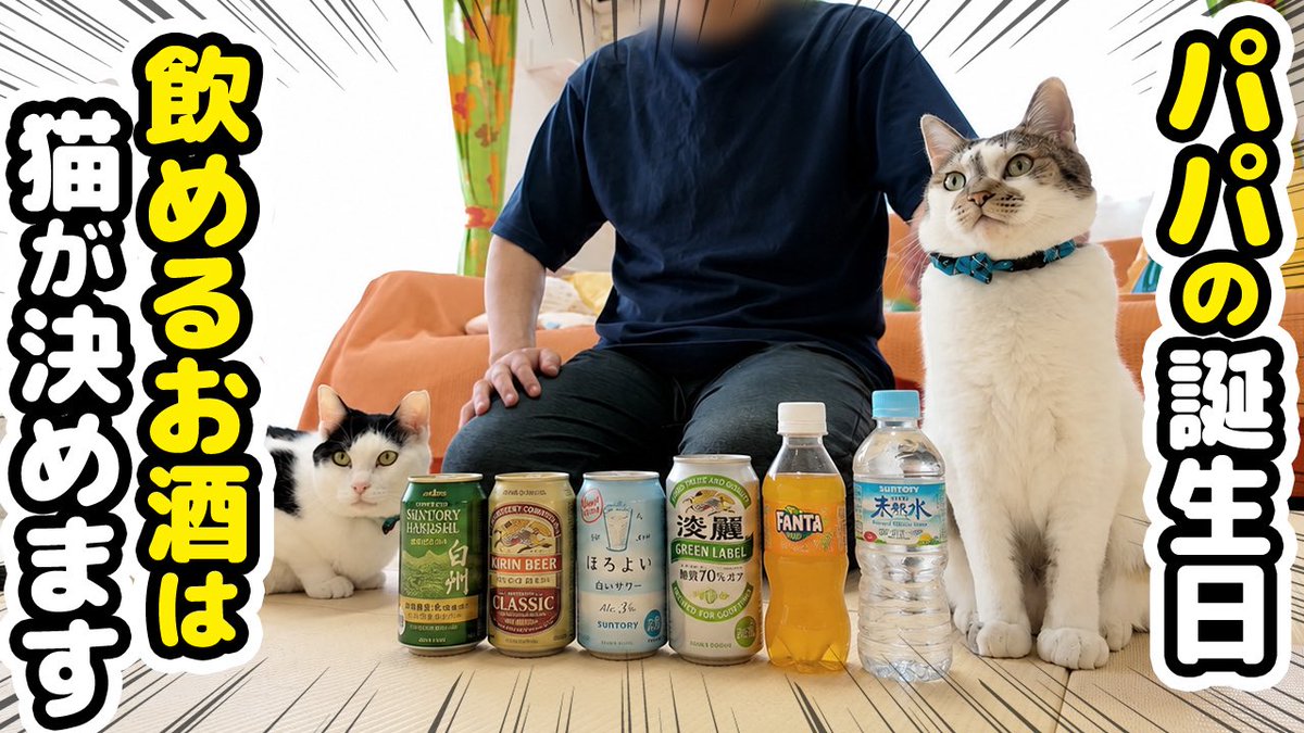 元野良猫のささみとホルン (@noraneko_sasami) / Posts / X