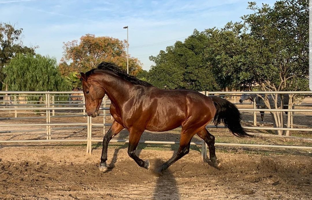 lumpie125's tweet photo. #TeamStallion
@italianostyle1
@DianeElQueen
@lumpie125
@Siogo61
@bluea125
@MARTHA_CAN2
@LauraM24960
@CLARABENZA
@LuisaLaRosa
@GRAHAMGREE3o
@caitorosales
@AniBaldovinos
@NlHILIST
@Luisa1E
@ginestarros @ginaaaaa24
@Luisa1Queen
@MARTHAMUSSY
@Spencerjames211
@nuvisionquestt3 https://t.co/uhMRqvGr7c