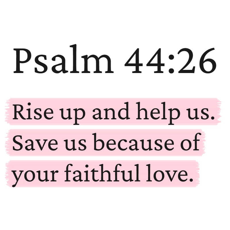 PositivePsalms's tweet photo. https://t.co/e3x8mkFMhU