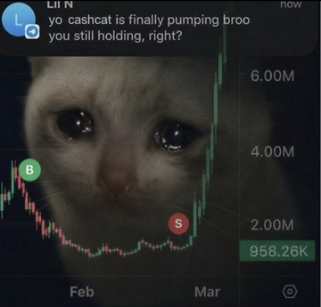 CashCatONPUMP's tweet photo. Gonna feel bad for the jeets when this happens to them.

But people with Diamond hands will hold till the top and wont have to worry.

$CashCat https://t.co/TRwwwvi7ae