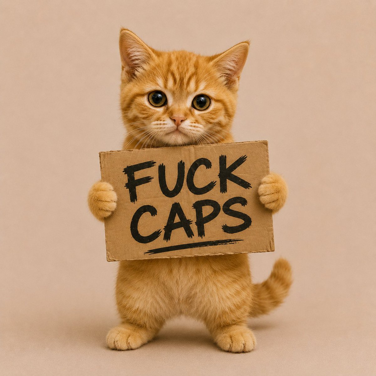 gritzsol's tweet photo. FUCK CAPS 

WE ONLY DO NO CAPS!!

NO FUCKING CAP

https://t.co/SVoSyI7LKz https://t.co/IpzgkENGcf