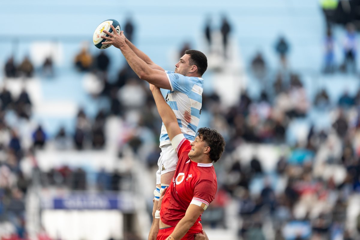 lospumas's tweet photo. 📸 ¡Lo que nos dejó el triunfo ante Gales! ¡Vamos Argentina!

#SomosLosPumas https://t.co/EAPKwjM7gQ