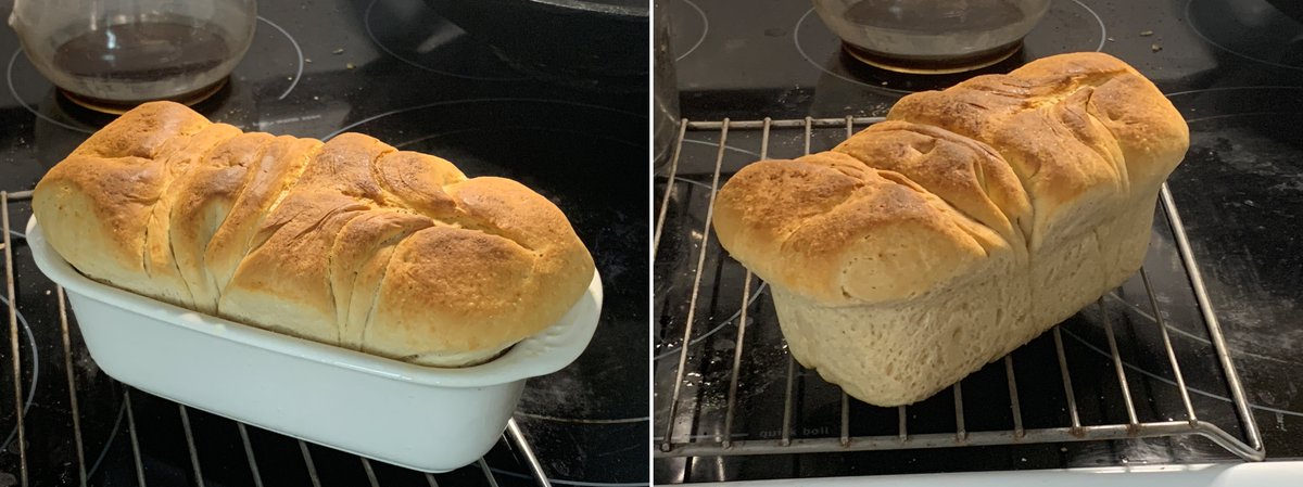 winenewsmaster's tweet photo. Some experimenting in the kitchen today. I used an on-line recipe, that might have been AI (it's so hard to tell) as a guide. Whatever, it seems good. I'll cut into it a bit later. #dough #bread https://t.co/jwWkqesn60