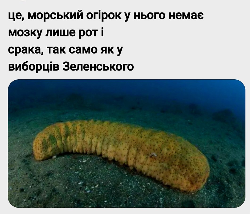 XeniaUA's tweet photo. Яке точне порівняння. 
Просто база. https://t.co/i1PByXMQkK