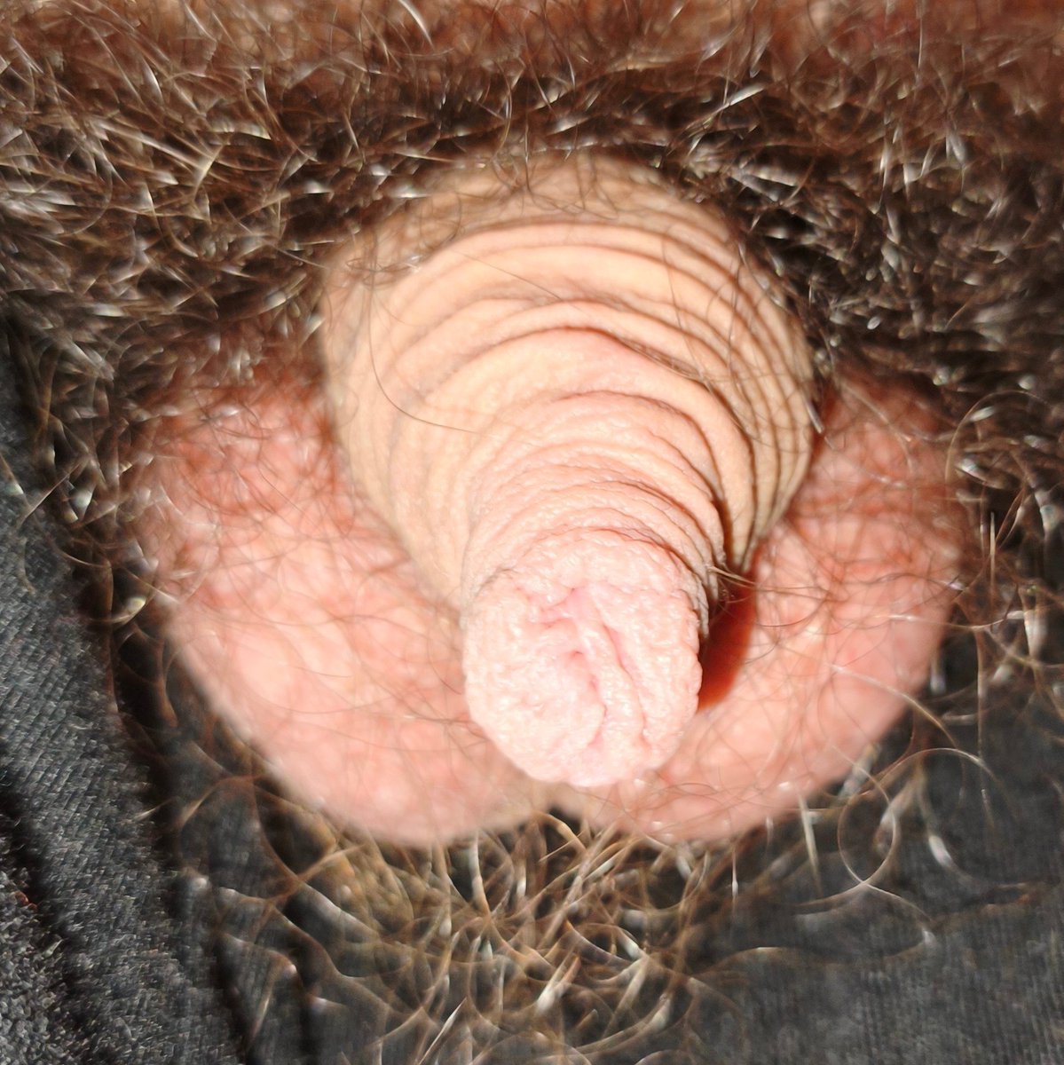 RodolfoVin89750's tweet photo. Humiliate, and expose me, for having such a tiny dick #sph #small #dick #cock #tiny #little #sex #porn #haha #lol #xd #kink #penis #humiliation #exposed #exposure #dm #comment #repost #send #nude #naked #expose #show #public #hard #BBC #BWC #femdom #smalldick #lol #pathetic https://t.co/Glj3ptqCKZ