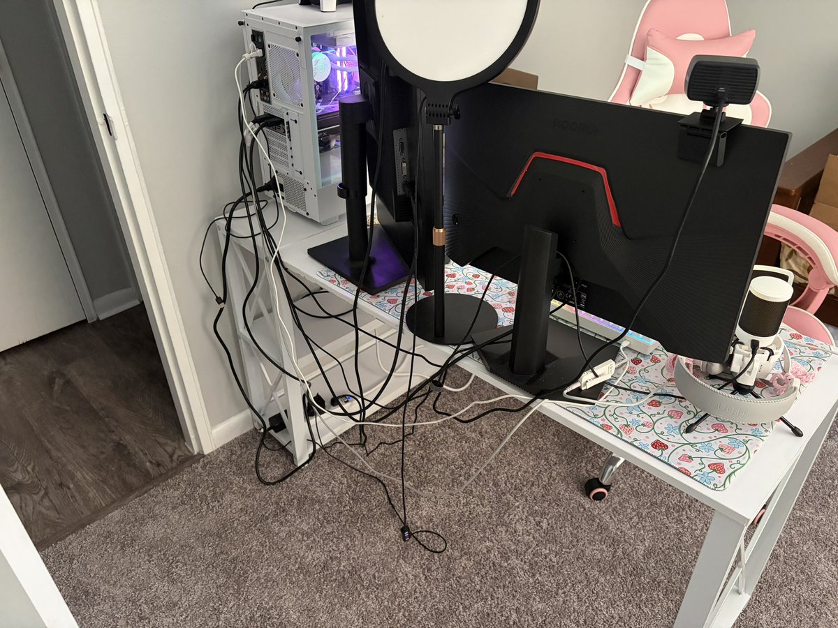 buzzyrosee's tweet photo. love my desk setup minus the fact that i walk in to this and i have no idea what to even do about it https://t.co/lJpaZOLhMi