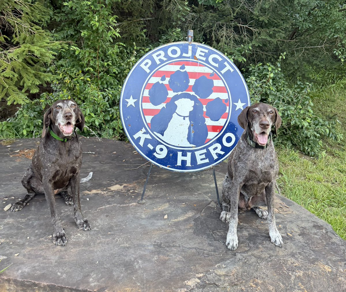 Project K9 Hero tweet media