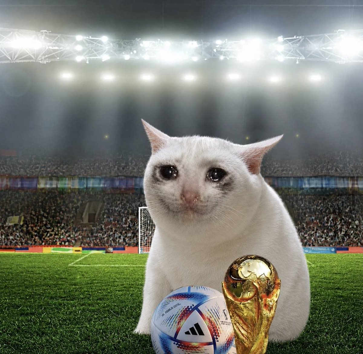 CRYING CAT tweet media