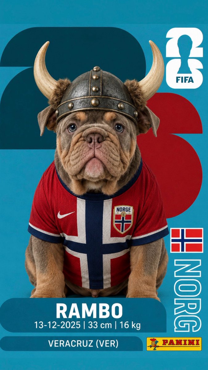 acastagne's tweet photo. Vamos Noruega 🇳🇴 https://t.co/xtx23bvk7m