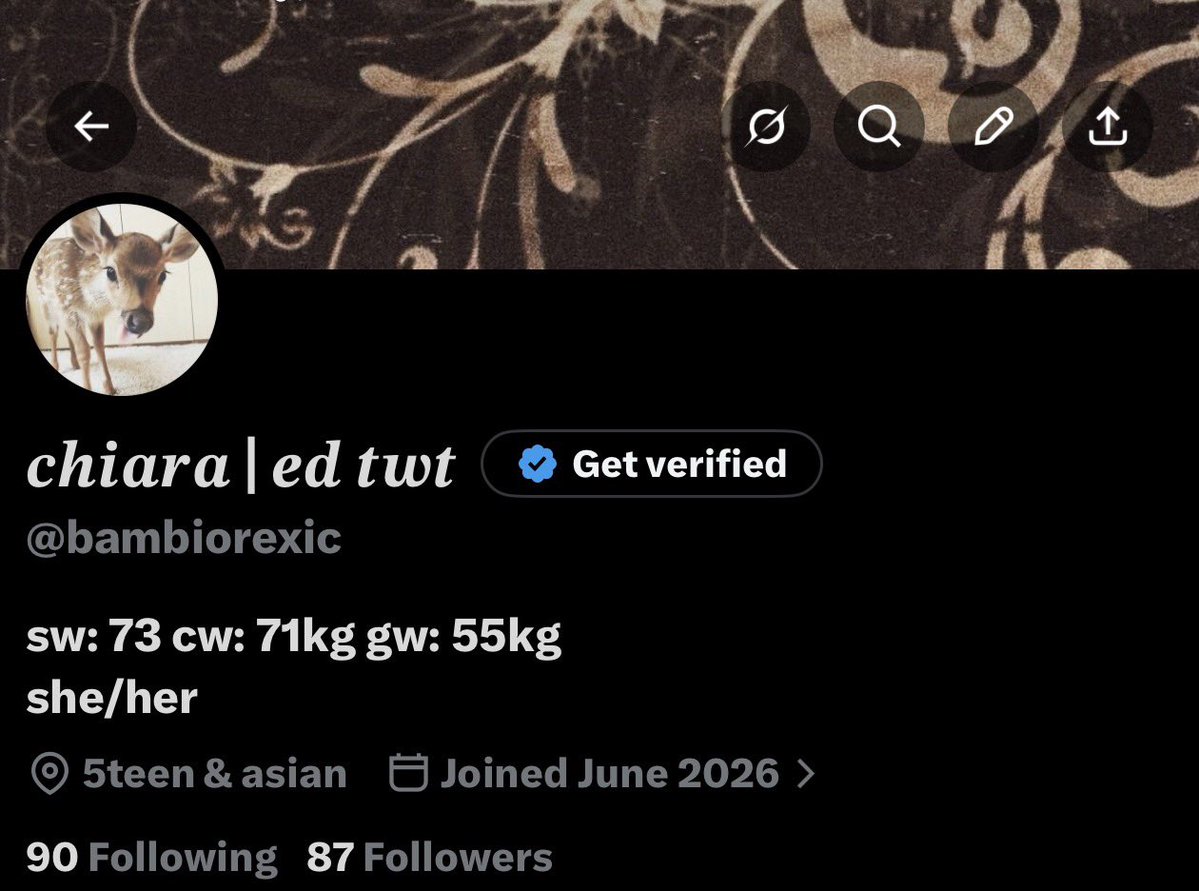 starvingchiara's tweet photo. new layout + username (might change it though) https://t.co/stN6DalPgH
