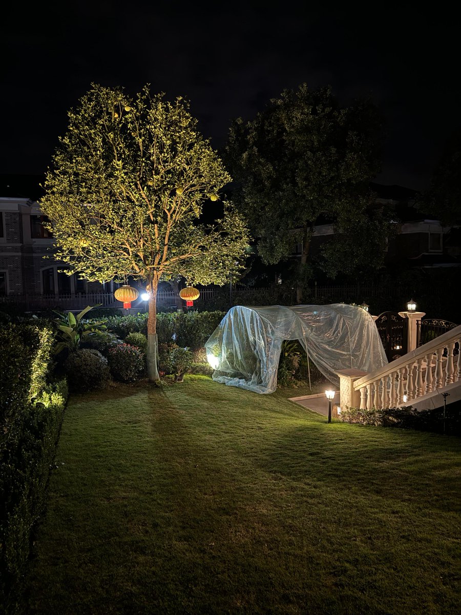 lenadlprt's tweet photo. Beneath the moonlit sky, lanterns glow like whispered dreams, casting magic over a quiet garden night  🌙✨ https://t.co/nCWDFB8HNQ