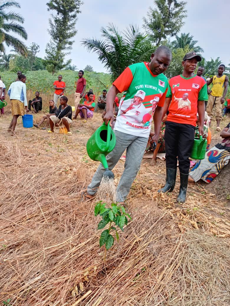 Bujacnddfdd's tweet photo. 🔴 Kuri uyu wa Gatandatu igenekerezo rya 11 Mukakaro 2026,Umunyamabanga w'umugambwe @CnddFdd muri komine Mpanda, #Oscar_SINDAYIGAYA,yifadikanije n'abagumyabanga bo muri zone Mpanda mu bikorwa rusangi vyo #kuvomera no #Gusasira ikawa zegukira umugambwe  zateragiwe ku mutumba Masha https://t.co/Jk4eYpu4P2