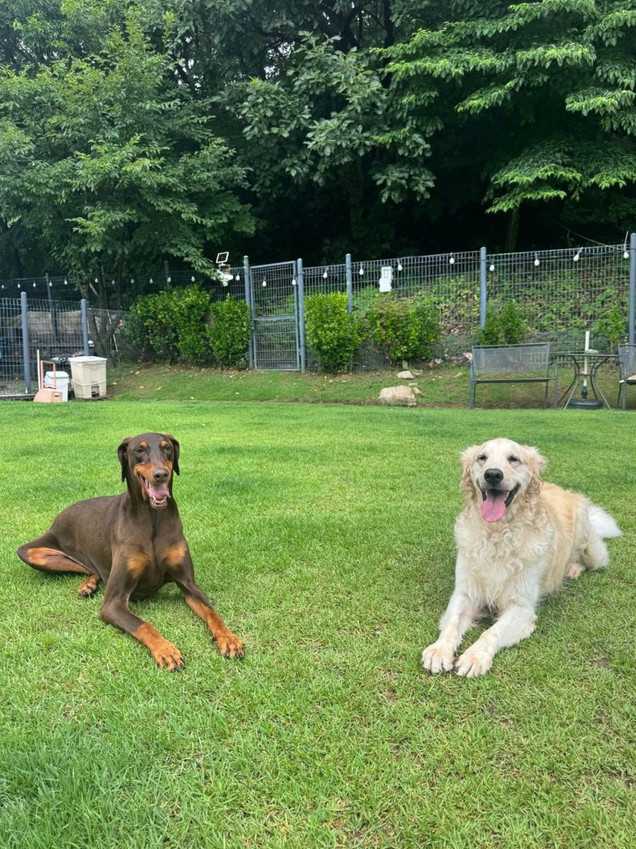 aurumfilm's tweet photo. jeons and their blondes https://t.co/d1iyq3b9JS