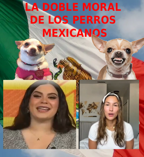 Carlos Orozco porUnEcuadorMejor AntiBorreguista tweet media