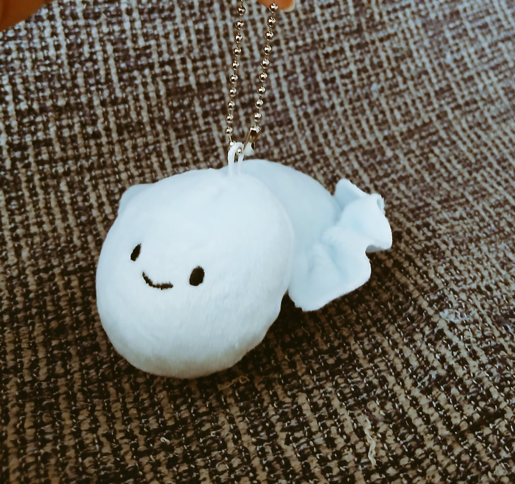 poco2271969's tweet photo. UMAぬいぐるみガチャ
宇宙人👽が欲しかったのだけどスカイフィッシュだった🐟 https://t.co/rtAfQNG9xA