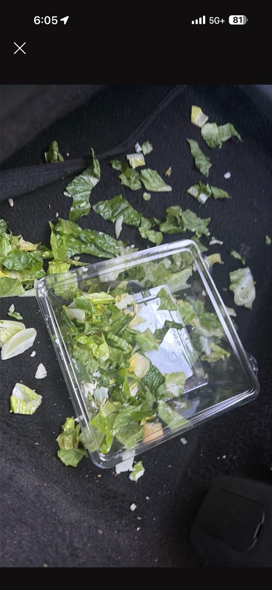 osdryfp_08's tweet photo. A passenger spilled a salad with creamy dressing all over my fabric seat today, and @AskLyft support just closed my case accusing me of making a false claim. Look at the real photos! I demand a human supervisor to review this immediately. Stop ignoring your drivers! @lyft https://t.co/4PyBV3WfYN