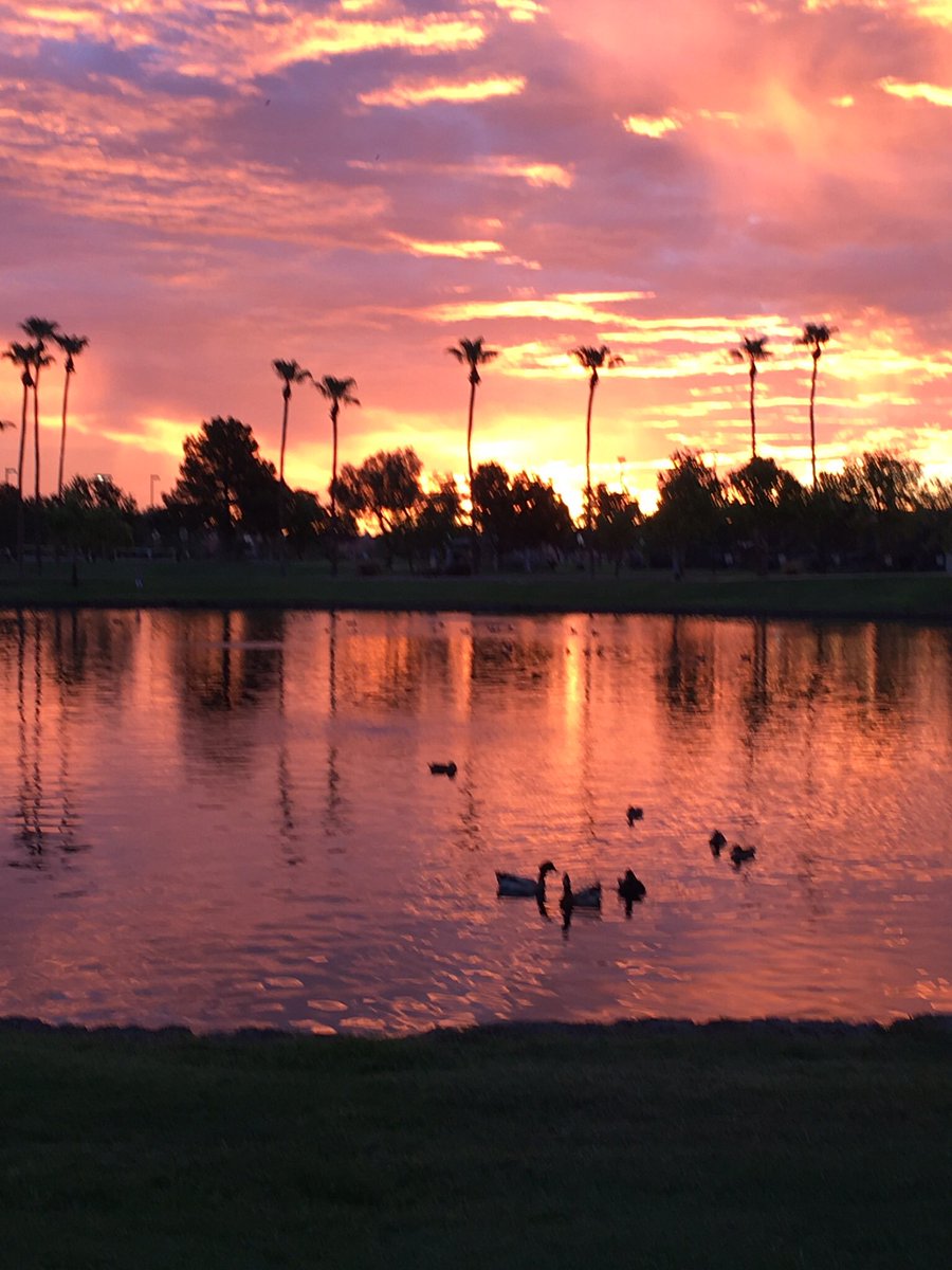 Socalkiss's tweet photo. @weatherchannel Freestone Park, Gilbert, Arizona https://t.co/9IwWFvUrpQ