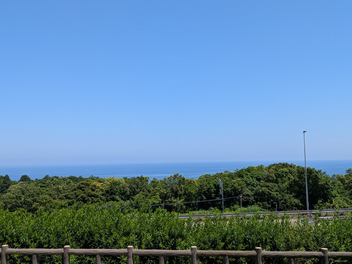 daikichidasu's tweet photo. 散歩中に赤とんぼを見かけました。
数日前にカルガモ親子引っ越しSPを観ました。

季節を察知して色を変える赤とんぼの力。
子を守りつつ生かそうとする母鴨と、食らいついて生きようとする子鴨達。
物に囲まれ便利な現代日本、人間は何か忘れ物をしている気がするのは自分だけでしょうか。 https://t.co/MKZWyHkdlZ