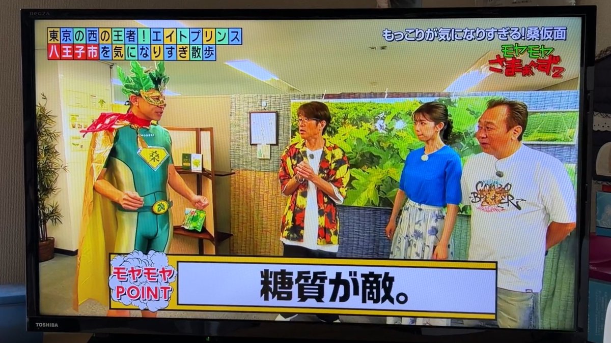coffeelive802's tweet photo. 昨日のモヤさまは八王子でしたが、ご覧になりましたか？
桑の創輝さんが出演されていて、我が家では勝手に盛り上がりました。
本日創輝さんの桑を使用したものは、桑カスタードを詰めたクッキーシュー、桑の米粉シフォン、桑の米麹スムージーのご用意があります。
地元の桑をぜひご賞味ください。 https://t.co/4rHaV34lTd