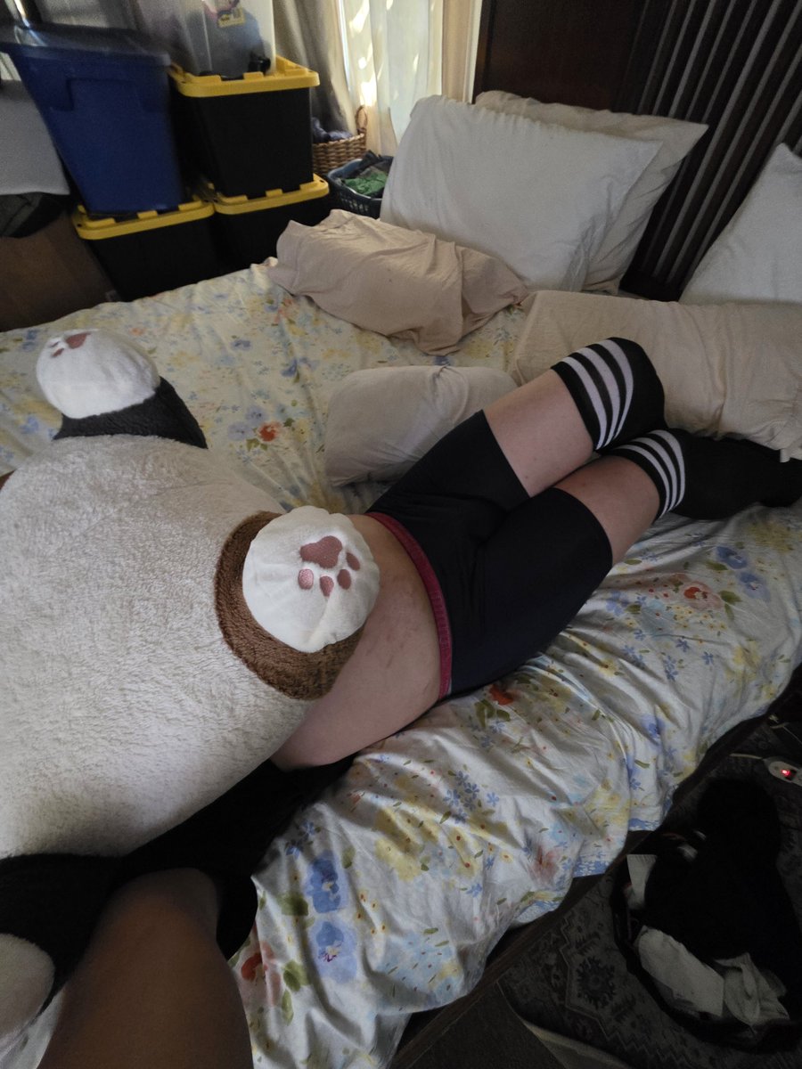 STP_shpoople's tweet photo. Someone should replace this cat plush fr, i want some cuties warmth >w< #femboy #gay #meow #awawawa https://t.co/SjyA7ePjeg