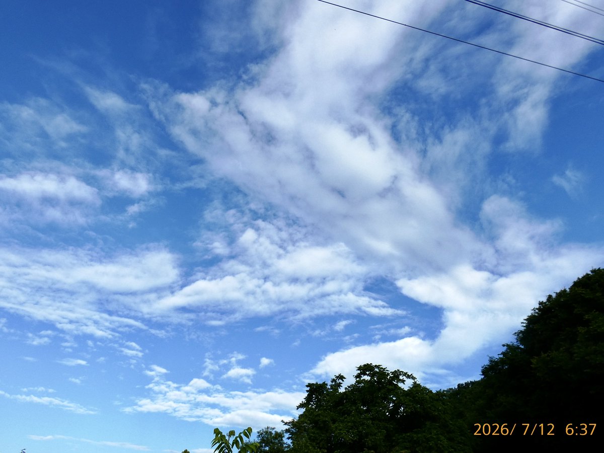 ysa7w0dz's tweet photo. おはようございます♪( ´▽｀)

7/12日(日)   27/20℃  🌤️☔︎
　現在　22℃  (体感温度　21度)
　降水確率0%  湿度91%  風速11km/h

朝から蒸して暑い💦でも綺麗な青空〜♪

《ファイターズ》
勝ち❣️
山崎投手　1ヶ月振りの白星！
宮崎一樹君勝利を呼ぶ初アーチ！
今日もρ(′▽`o)ﾉﾞ ﾌｧｲﾄｫ～♪ https://t.co/MDgSGq5cjX