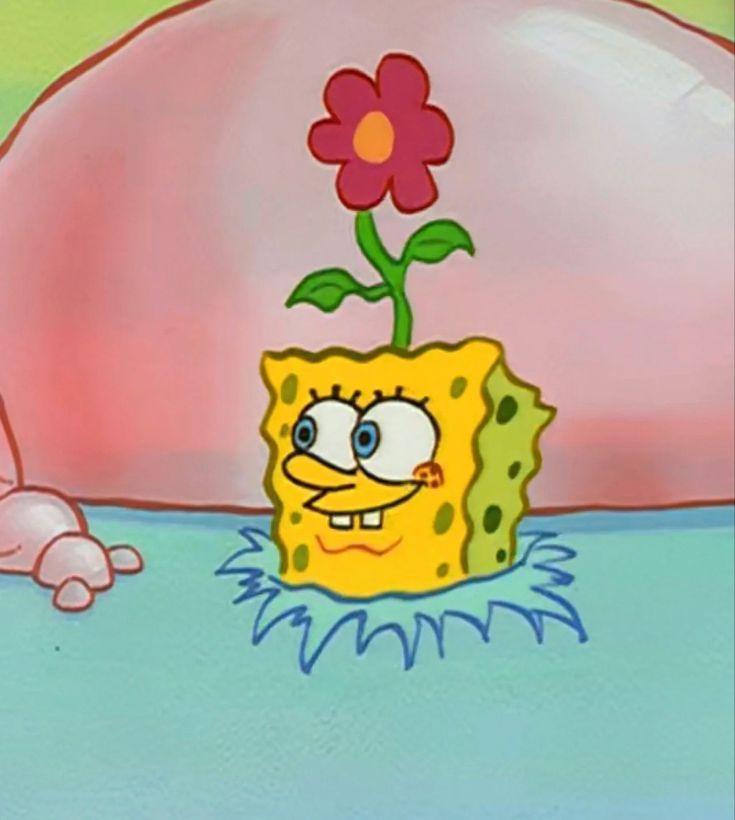 spongecaek's tweet photo. new username :) https://t.co/bLhESGeEoC