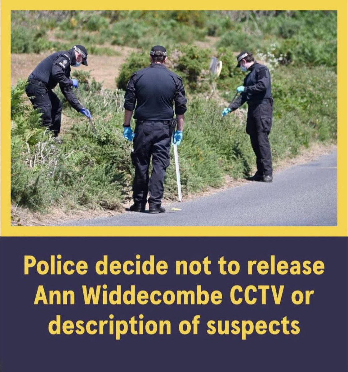LeilaniDowding's tweet photo. So you are telling me, there is a violent killer on the loose.. Someone who violently killed an elderly lady in her home and police won’t release any kind of photo or video so people can identify him https://t.co/LltUUEdukj