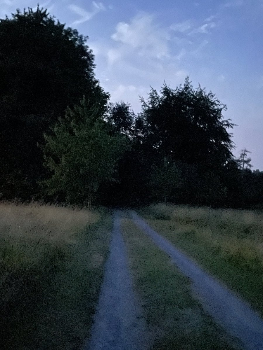 ZwartblesIE's tweet photo. Last walk with the dogs and my phone camera creates landscape paintings with its slow low light shutter speed https://t.co/8Lgcglk5tB
