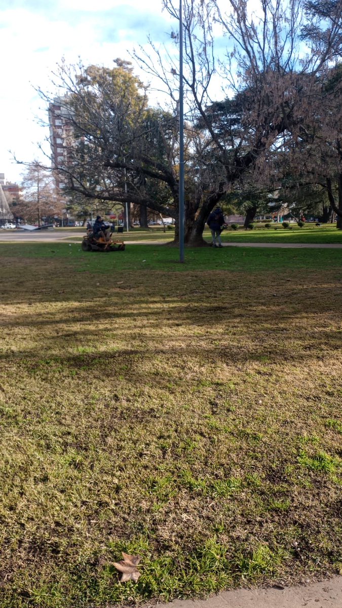 MuniChivilcoy's tweet photo. 🛠️ Más trabajo, más espacios cuidados para los vecinos.

La Secretaría de Servicios Públicos continúa llevando adelante tareas integrales de mantenimiento en distintos puntos de la ciudad mediante la conformación de cuadrillas de trabajo que permiten intervenir de manera simultánea en plazas, paseos y accesos.

En los últimos días se realizaron trabajos de limpieza, despeje, mantenimiento, reacondicionamiento del mobiliario urbano y reparación de luminarias en el Paseo Aurora Serio de Santilli, la Plaza 25 de Mayo, el Paseo Guernica y el acceso Presidente Raúl Alfonsín.

Además, avanzan las tareas de pintura de columnas de alumbrado y próximamente se iniciará la pintura de bulevares y cordones.

👏 Un reconocimiento al compromiso y al esfuerzo diario de los empleados municipales, cuyo trabajo hace posible mejorar y mantener en condiciones los espacios públicos que disfrutan todos los chivilcoyanos.

https://t.co/Xtxad7l6gD