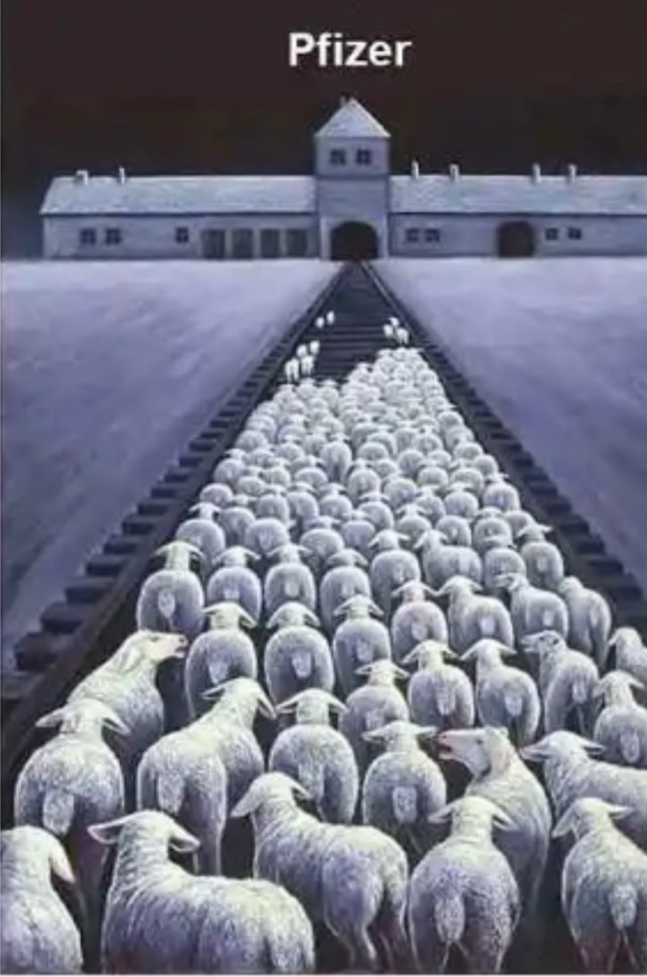 gunteralbert1's tweet photo. @PeterBaars1111 @ern_abart "Misdaden tegen de menselijkheid" zijn er gepleegd.
#NeurenbergCodex is duidelijk over de strafmaat. https://t.co/0SP6pqLNAr