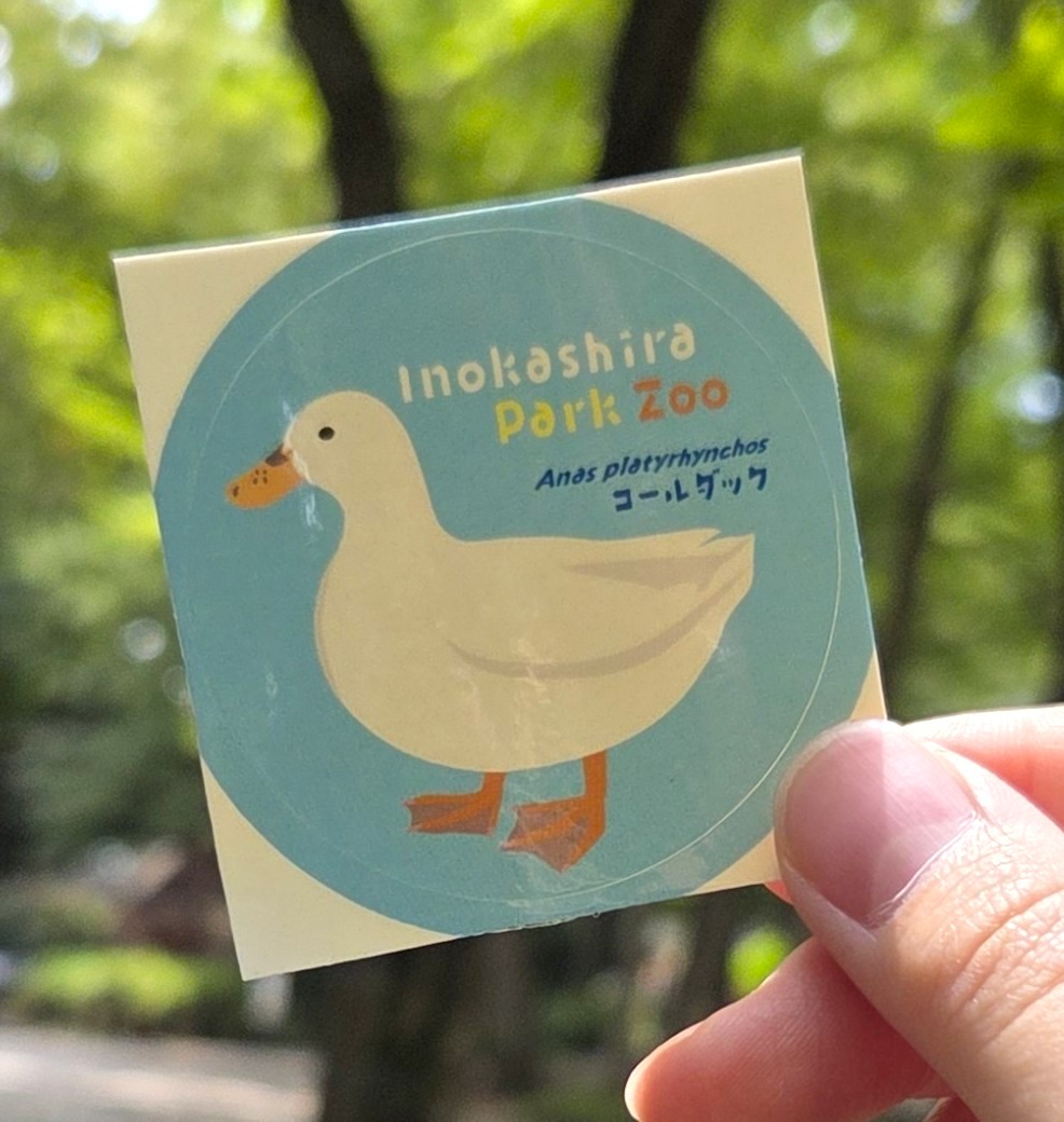 InokashiraZoo's tweet photo. ＼園内売店から新商品のお知らせ／
🍧期間限定販売🍧
「#コールダック のみかん(夏みかん入)カルピスフラッペ￥680(税込)」
水生物園のコールダックをモチーフにした、カルピスとみかんの甘酸っぱい爽やかなフラッペです♪
購入の方にはコールダックシールをプレゼント♪♪
#井の頭自然文化園
#zoo https://t.co/OIJJCMbJPP