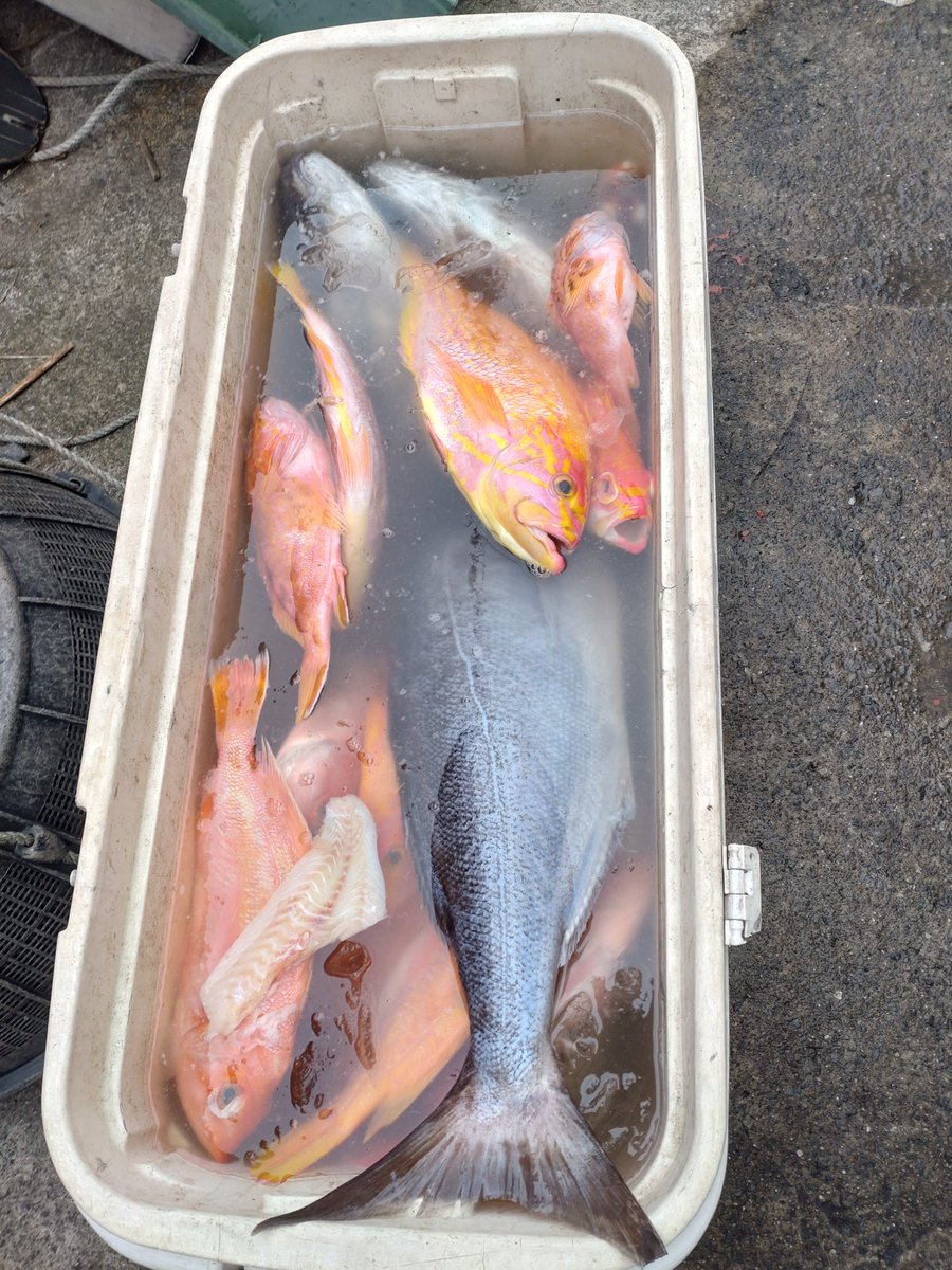 ajito9866's tweet photo. これは大島北部、岡田港近くのカフェ『Star fish』でフィッシュバーガーになります。 https://t.co/Etz8ogPTip