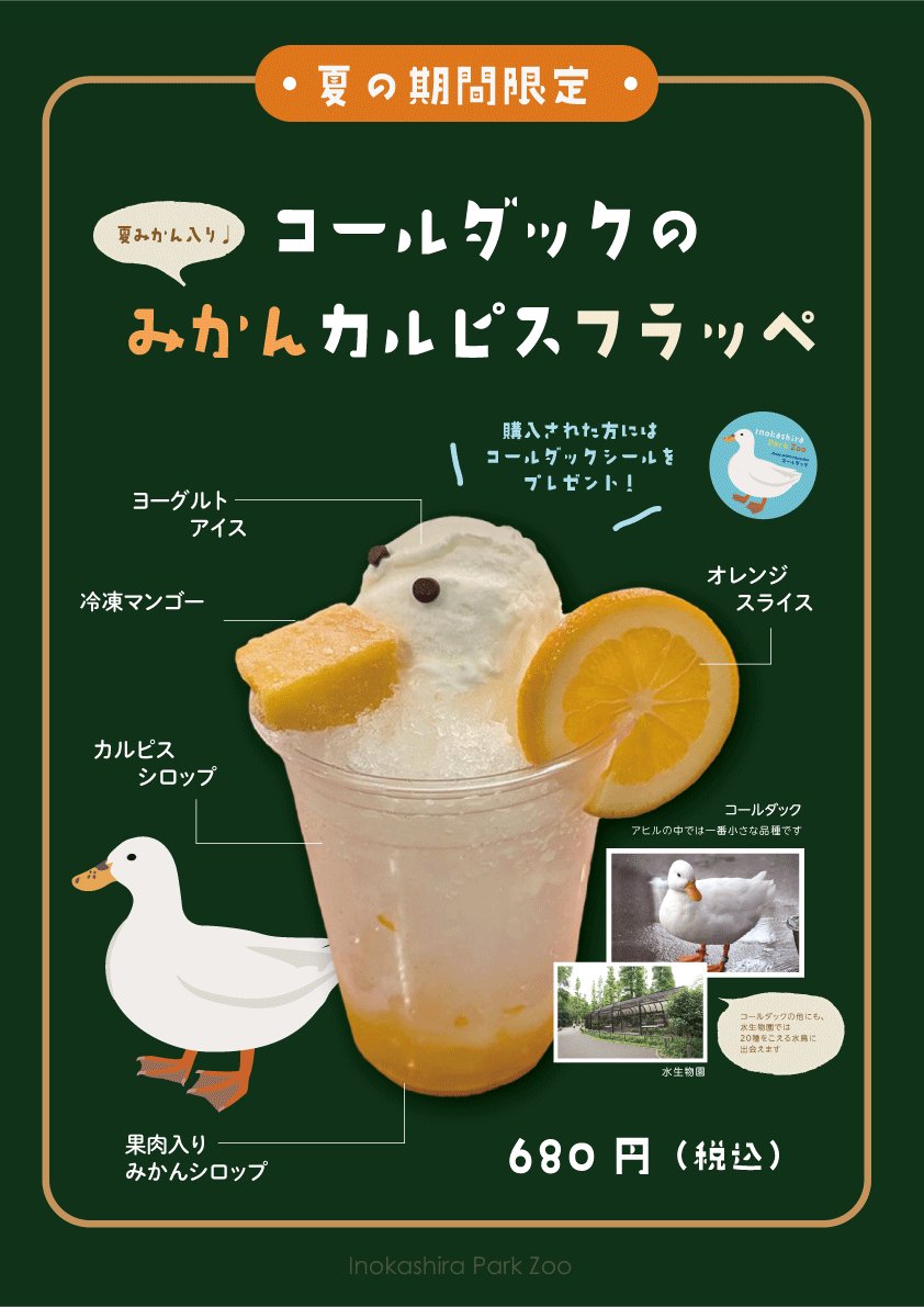 InokashiraZoo's tweet photo. ＼園内売店から新商品のお知らせ／
🍧期間限定販売🍧
「#コールダック のみかん(夏みかん入)カルピスフラッペ￥680(税込)」
水生物園のコールダックをモチーフにした、カルピスとみかんの甘酸っぱい爽やかなフラッペです♪
購入の方にはコールダックシールをプレゼント♪♪
#井の頭自然文化園
#zoo https://t.co/OIJJCMbJPP