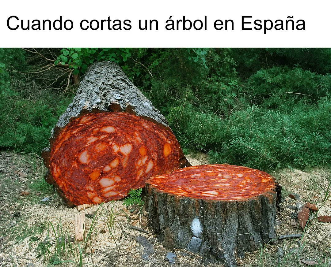 xavypardos tweet picture