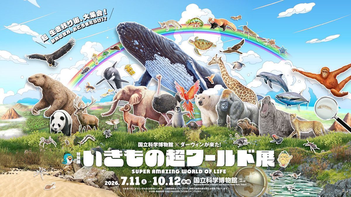 TokyoArtBeat_JP's tweet photo. 【明日から】
国立科学博物館×NHK『ダーウィンが来た！』がコラボ。「いきもの超ワールド展」が開催
https://t.co/z71flnh9gZ

「いきものの生存戦略」を紹介する企画展。ナビゲーターは相葉雅紀。
会期は7月11日～10月12日 https://t.co/vrjd98piMj