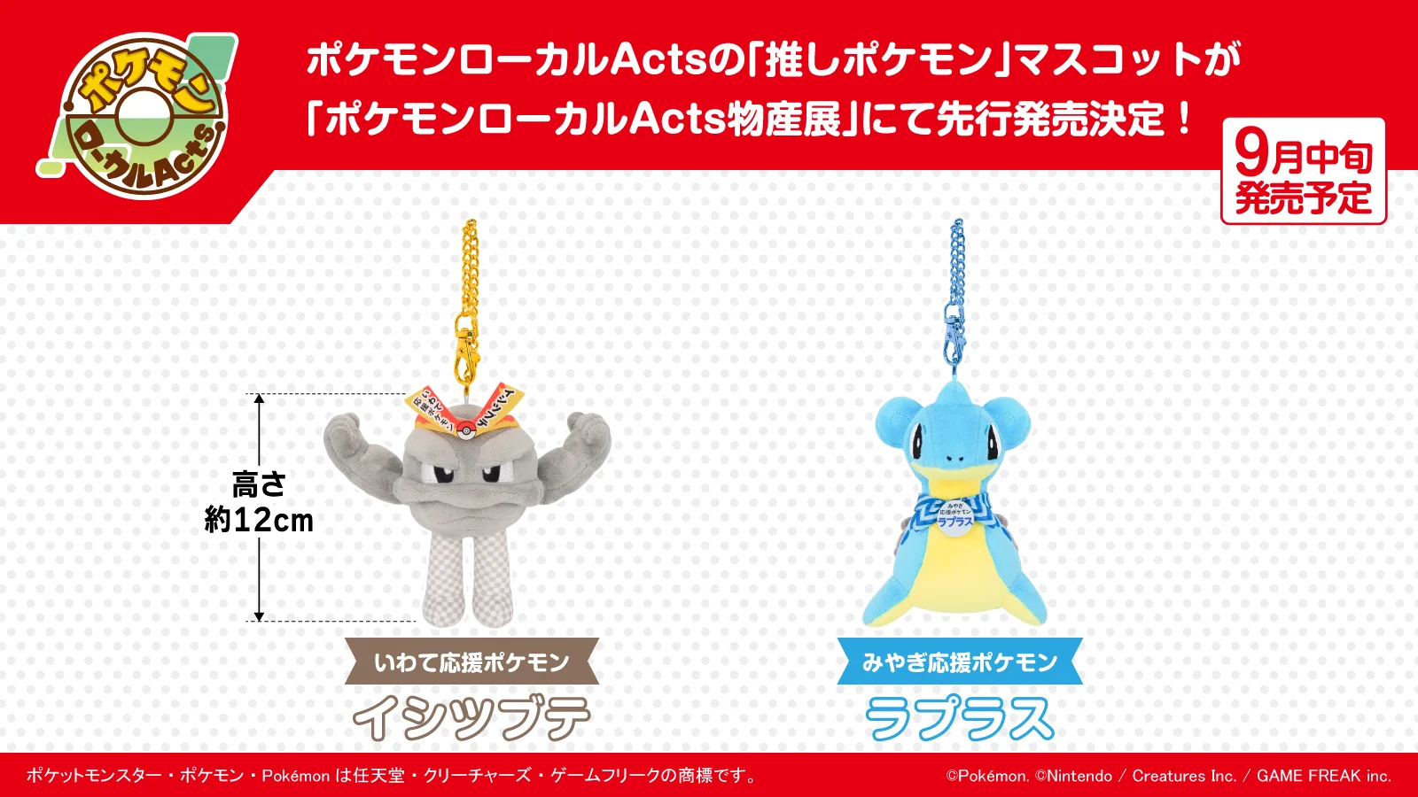 ポケモンローカル　Acts物産展　ラプラス イシツブテ ぬいぐるみ お顔厳選 HM00doqaMAAa4kk?format=webp&
