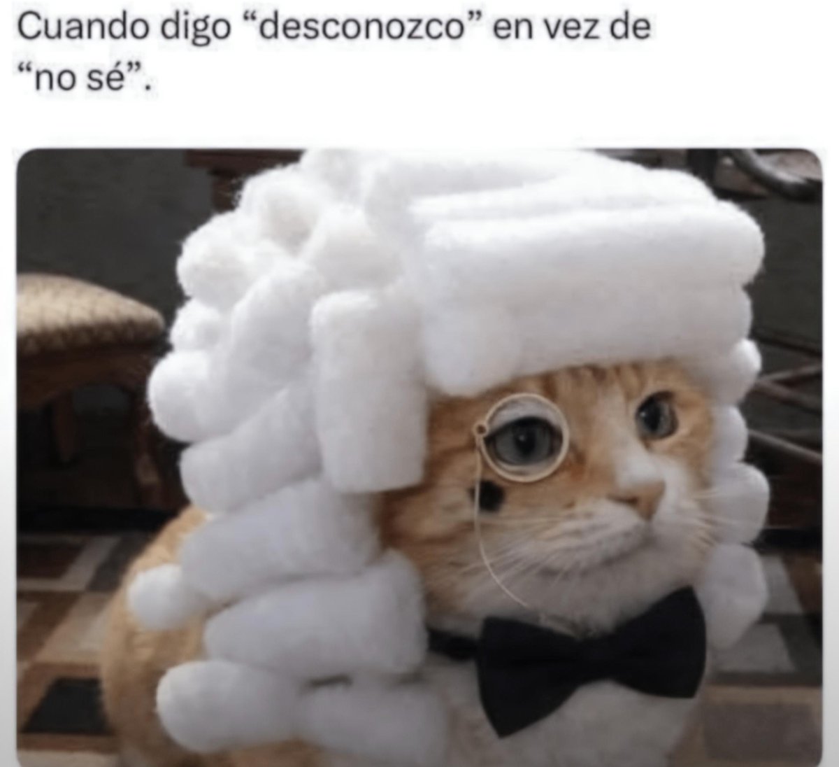 Dios_0ficial's tweet photo. Es que sí se oye muy cabrón. https://t.co/mHIvHGbuI5