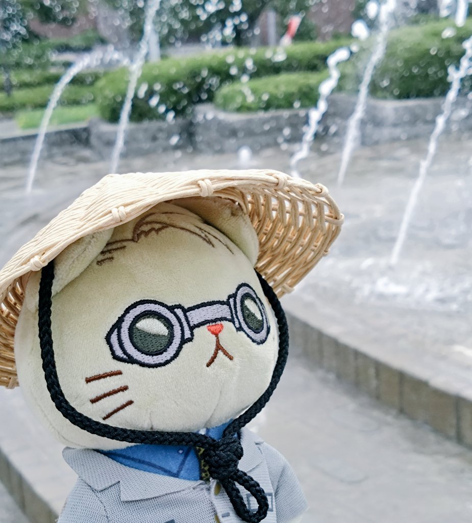 suama_124's tweet photo. 今日は35度予報なので、昼間は気をつけなくてはね
皆様もお水飲んで🚰 https://t.co/9O2XowR1v3