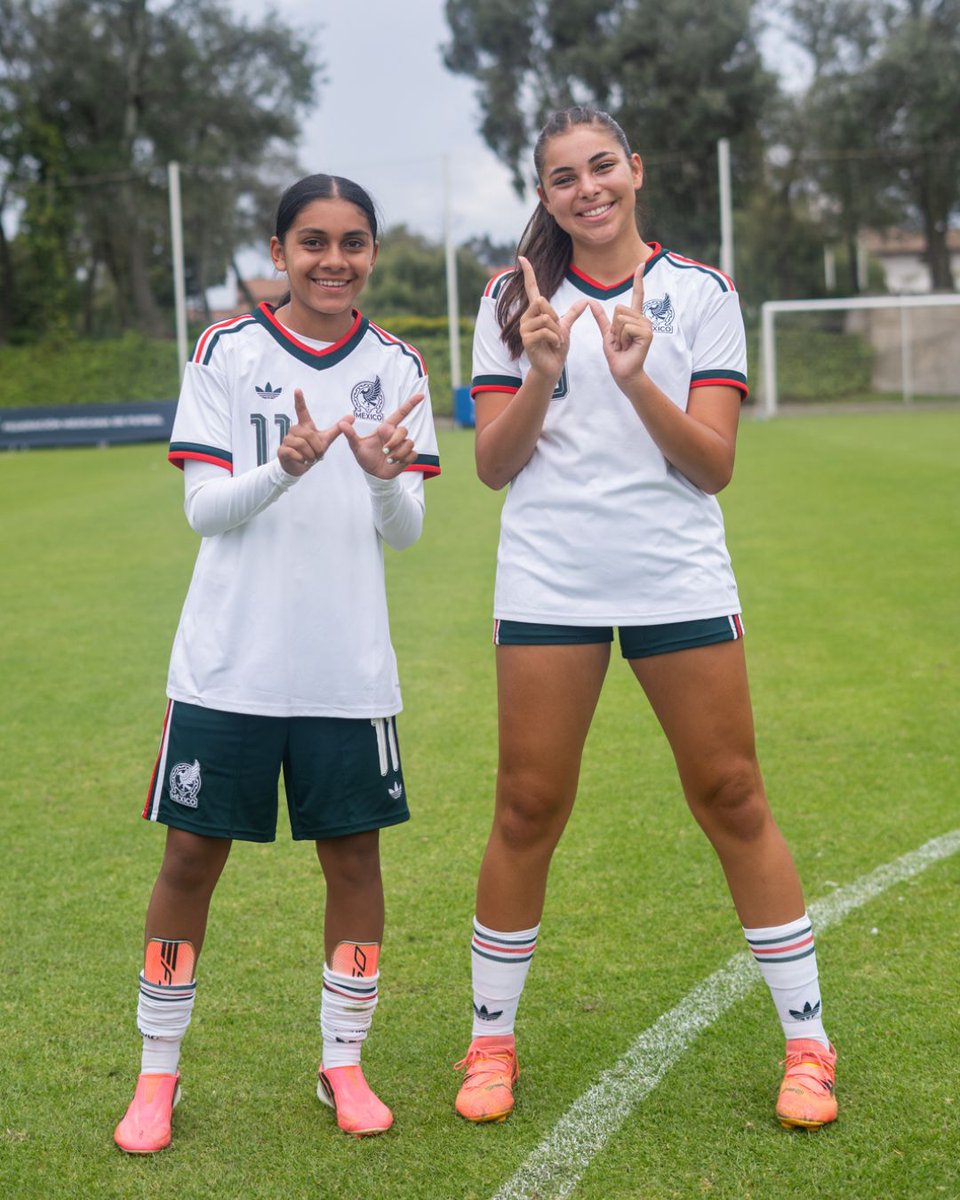 Federación Mexicana de Futbol tweet media