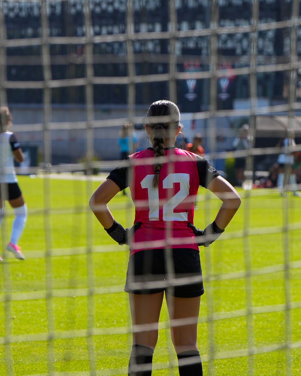 Federación Mexicana de Futbol tweet media