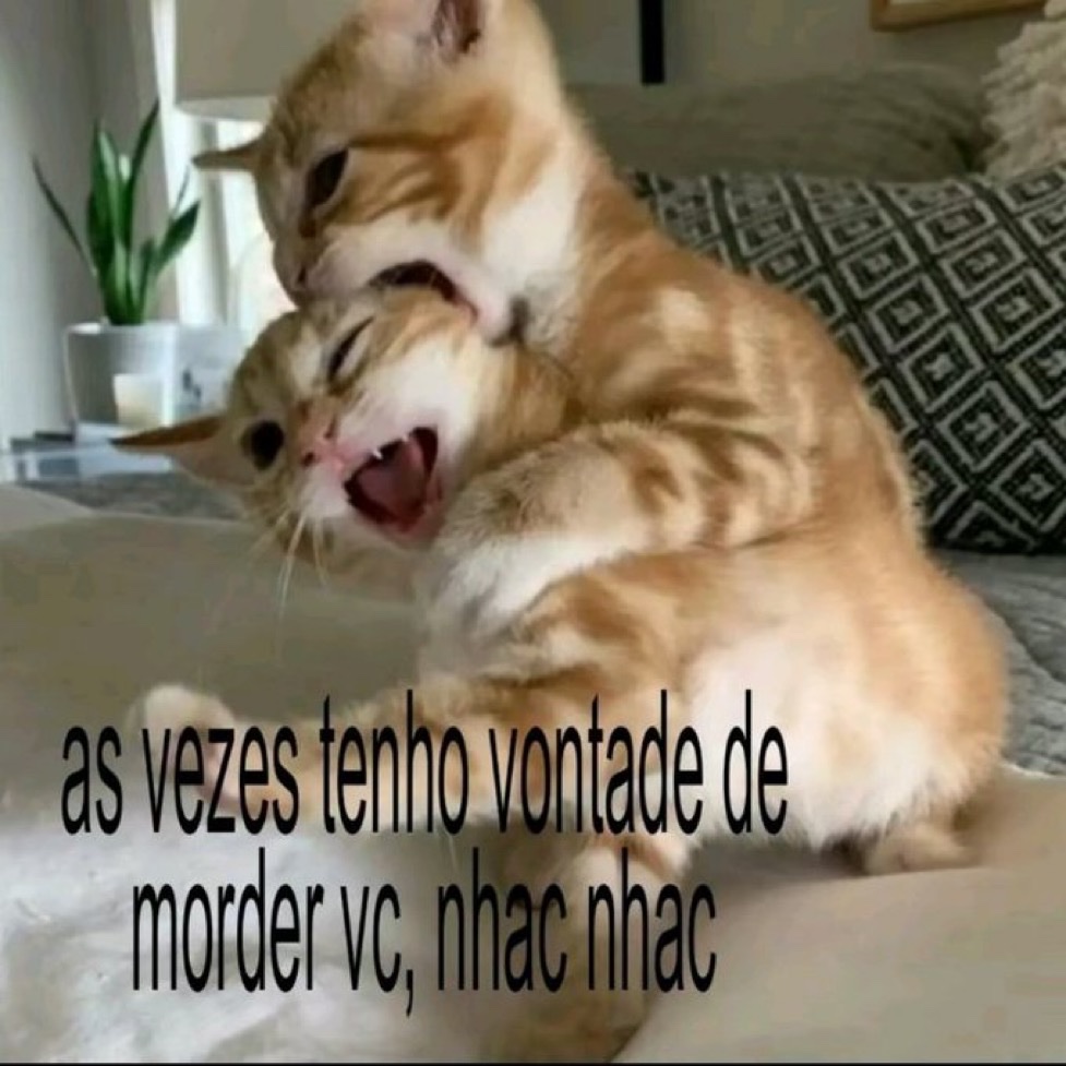 relacionemos's tweet photo. https://t.co/4cRoUJdSL0