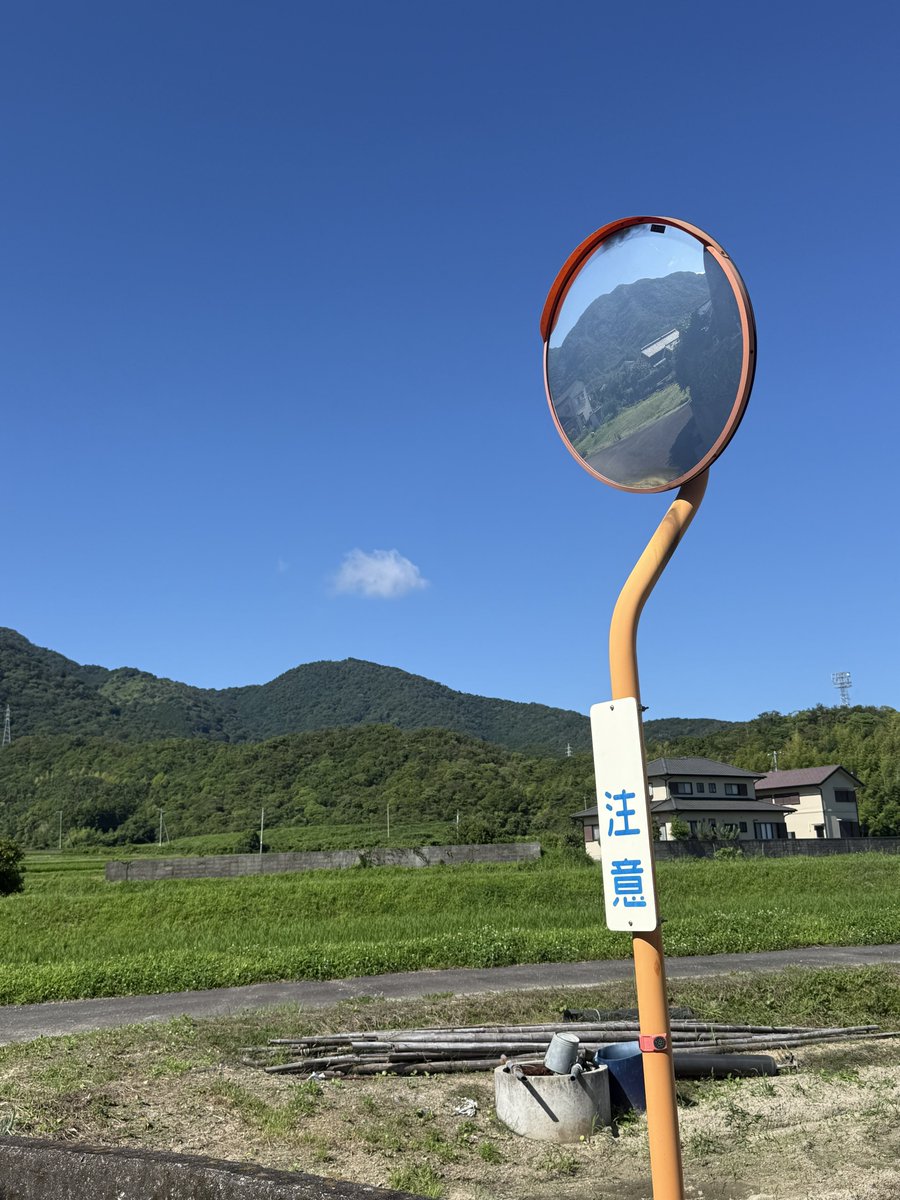 hanamomoact's tweet photo. 空が青くて風が冷たくて水は澄んでいて鳥が自由に飛んでいる。 https://t.co/2Mj3j9wTPO