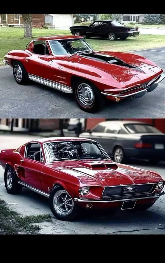 us_connie's tweet photo. If you were going on a date, which car would you drive?

Top or Bottom https://t.co/0KTCrXt3vl