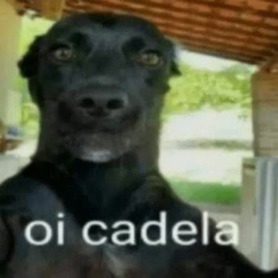 llulunet's tweet photo. @lucasreis7 eu que não sou https://t.co/xu5eI7FD5k