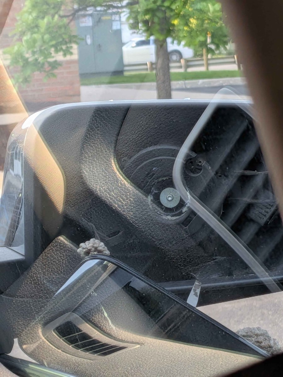 SpaceGoblinWiz's tweet photo. fuck ass bees...
#beehive
#SendHelp
#wtf https://t.co/qTooxtaBZO