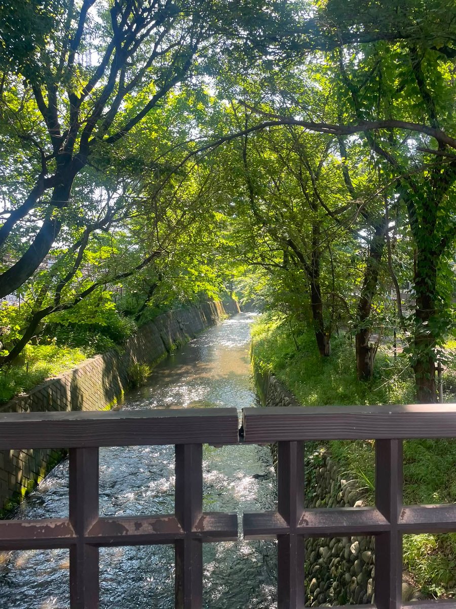 misa946's tweet photo. 【朝遊説@玉川上水駅】7.10

昨日から暑くなっています。暑さ対策をして気をつけてお過ごしください☀️

今朝は #玉川上水駅 前で、#東京生活者ネットワーク が発行している #生活者通信 の見本の配布と #朝遊説 を行いました。生活者通信には、生活者ネットの東京都議や各地域の議員の活動報告が掲載されており、今月号は #立川市議選 の結果報告（写真３枚目）も載っています。