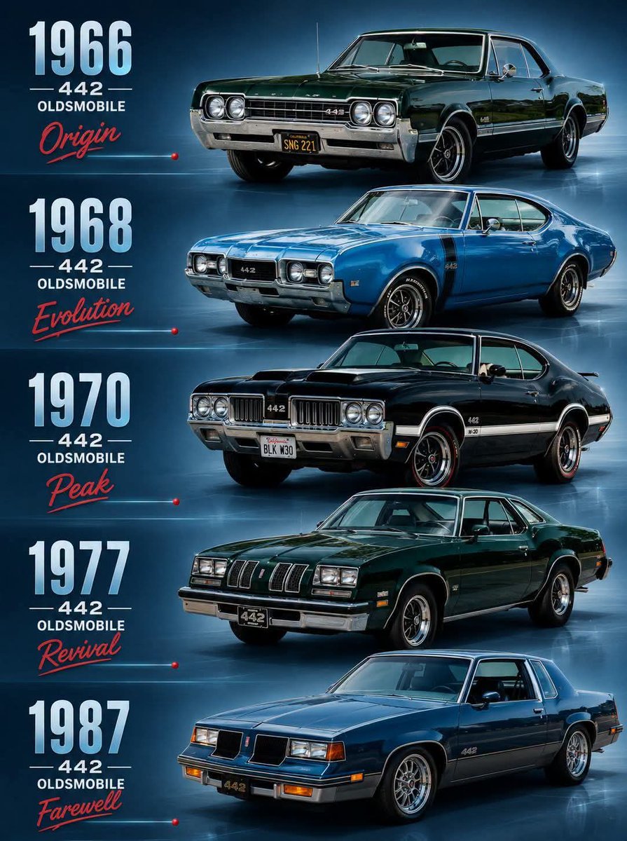 Jessi786James's tweet photo. Which is your favorite 442. 🇺🇲🦅 https://t.co/3zVsVYM8sk