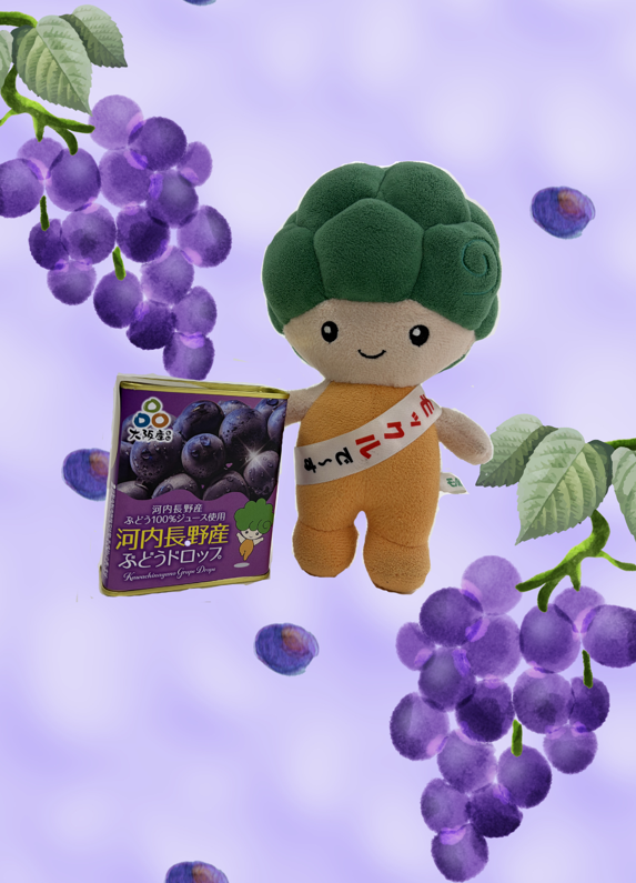MOCKLE2017's tweet photo. ／
＃モックルのぶどうドロップ🍇好評発売中✨
＼
#ふるさと納税 の返礼品に河内長野産ぶどうドロップが仲間入り🍇市内各所で販売してるよ💚おいしいよ➰🎵ぜひ食べてみてね😋
🍇販売場所
・観光案内所 #モックルステーション
・南天苑　・河内長野荘
・河内おゆば（旧名：風の湯）
#河内長野市 https://t.co/77KNFBgKpH